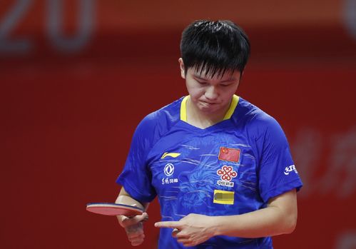 敏捷的身手 敏捷的身手